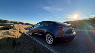 Tesla Model 3 LongRange varianta “Made in China” - 09.2021 cu doar 66.000 kilometri