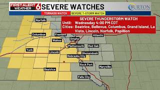 Emily's 12:20PM Update