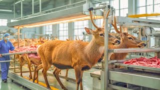 Satisfying Modern Food Technology Processing Line in Factory - Deer Meat Processing Factory