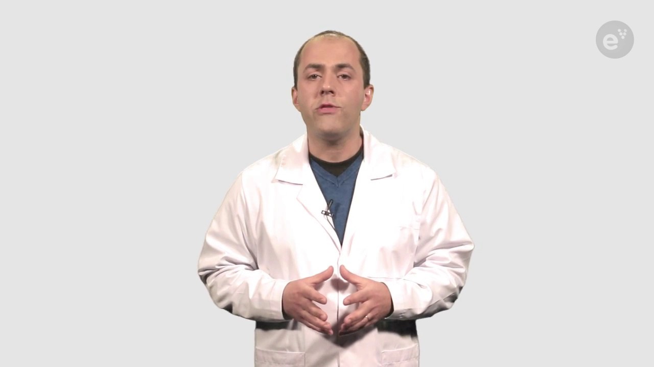 AL 2.2 - Titulação ácido-base