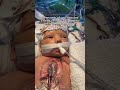 Please support if you can, and help us spread Alice’s story. Thank you for being part of her journey