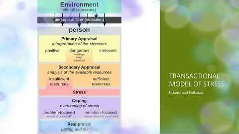 Week 7 lecture - Health Psychology - Dr. Neil Soggie