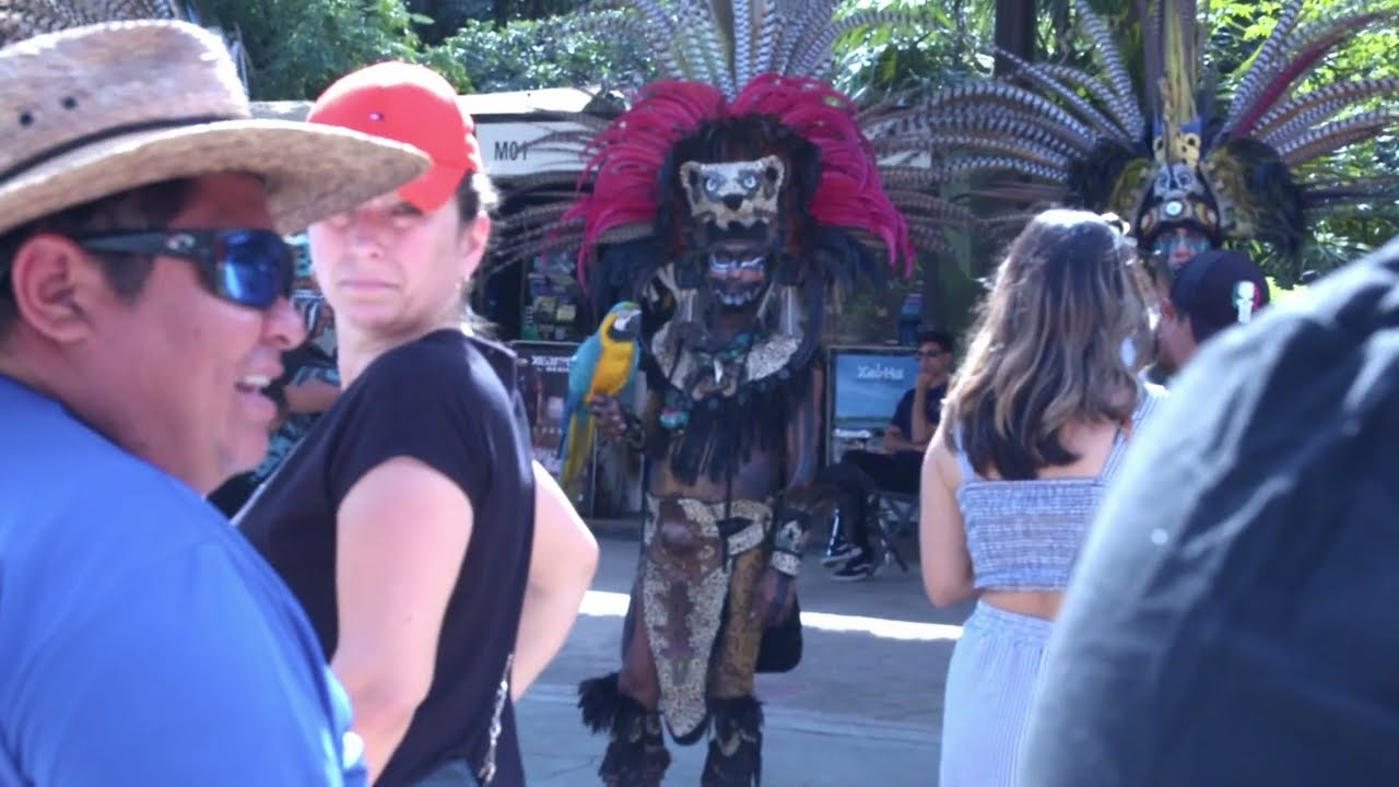 Skunk One De Las Cenizas