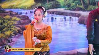 Sri Ayu Mujaeti Lanang Cobra YUDHA PUTRA Live Lamarantarung
