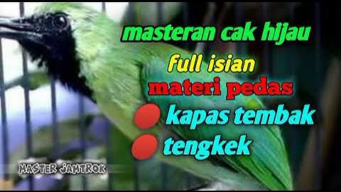 pancingan cucak ijo full tembakan TENGKEK DAN KAPAS TEMBAK speed rapat ampuh bikin jamtrok