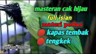 pancingan cucak ijo full tembakan TENGKEK DAN KAPAS TEMBAK speed rapat ampuh bikin jamtrok