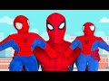 SPIDER-MAN Is Happy In Real Life | Funny Video | Where is Spider-Toy?