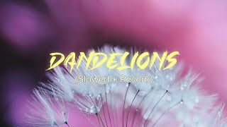 Dandelions (Slowed And Reverb)🎧 || Ruth B. || SR Audio ||