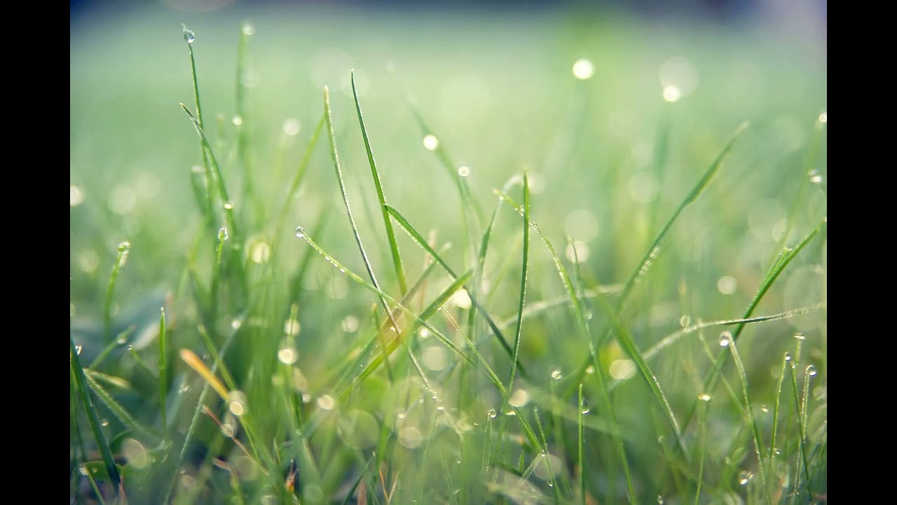 Relaxing Piano Music for Calm