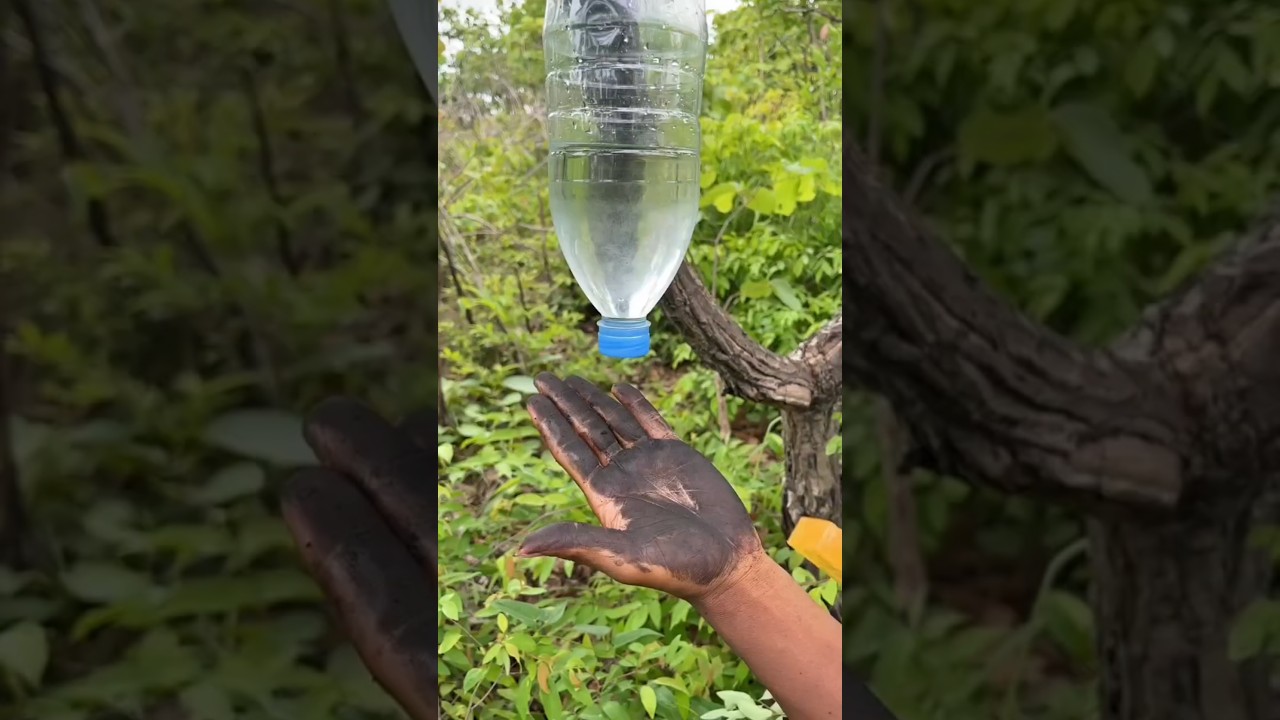 Survival Skills: SMART idea andUSEFUL #bushcraft #camping #outdoors #survival