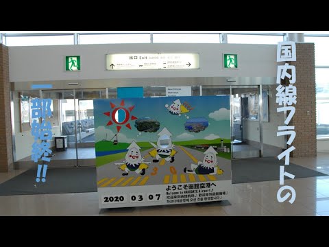 A84 北海道旅行春 機内ガラガラ 函館に旅立った 羽田空港ー函館空港 Youtube