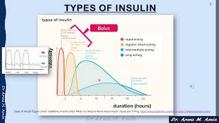 Types of Insulin (Basal-Bolus) Regimen