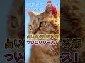 即効性あり！30秒でギャンブル運を上げる術
