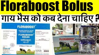 Floraboost Bolus Benefits in bovine/ vet-medicine-Floraboost bolus uses animal Floraboost bolus ?