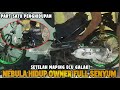 NEBULA HIDUP OWNER FULLSENYUM‼️SPEK JAHANAM SEKARANG NEBULA!!!
