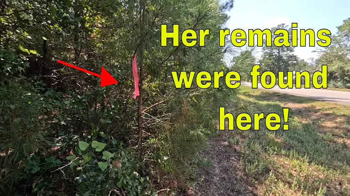 The Dark Secrets of Sam Houston National Forest