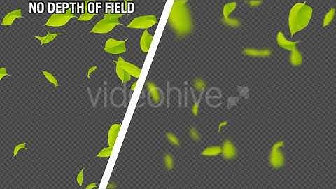 Falling Leaves V2 9 in 1 | Motion Graphics - Envato elements