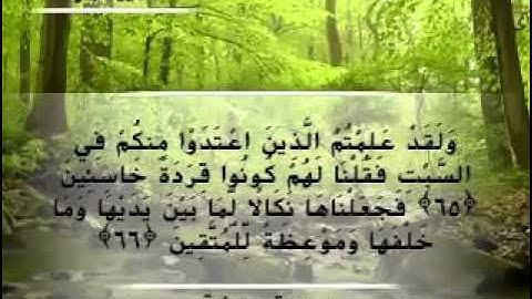 Moustafa Haredy  El Baqarah Ayah 64-66| مصطفى هريدى - سورة البقرة - من أية 46-66