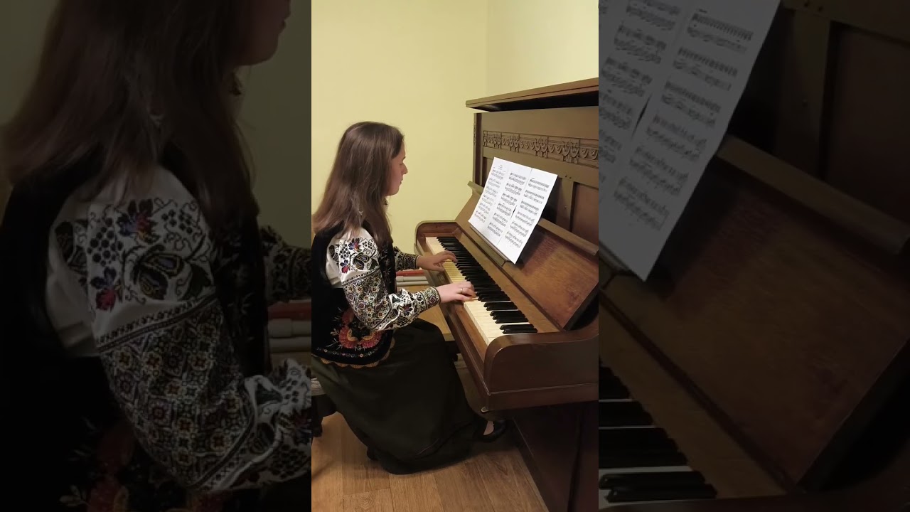 Фантазія на тему української пісні 