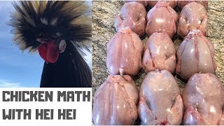 How Much Does It Cost To Raise Cornish Cross Chickens?