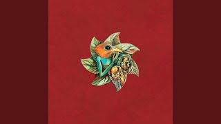 The Order of Protection (Two)