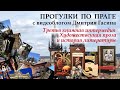 Прекрасная Прага. 15. Третья книжная интермедия. Художественная литература и история литературы