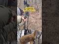 What Arrow Are Going With In The Field?