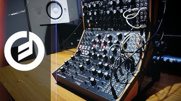Exploring Moog Sound Studio | (DFAM, Subharmonicon, Labyrinth)