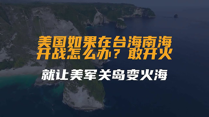 此時只有軍心渙散無法提供足夠防護力的軍人來保護美國大使館首都市區已經陷於火海之中美國艦隊已經在外海待命等的就是一聲令下開始撤離行動