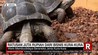 Ratusan Juta Rupiah Dari Bisnis Kura Kura | REDAKSI PAGI (29/01/22)