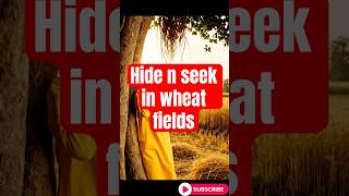 Hide &amp; Seek in Wheat Fields – Childhood Nostalgia