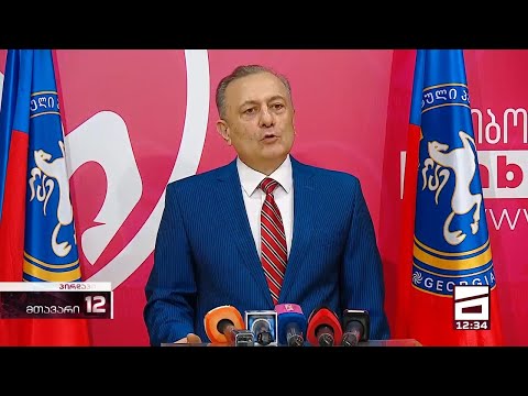 ნათელაშვილი პარლამენტის მიერ პარტიებისთვის საბიუჯეტო დაფინანსების გაუქმების განხილვაზე