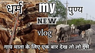 gau mata ke bhajan video meingau mata ka bhajan vloggau गौ माता को तरबूज खिलाते हुए my new vlog2022 screenshot 3