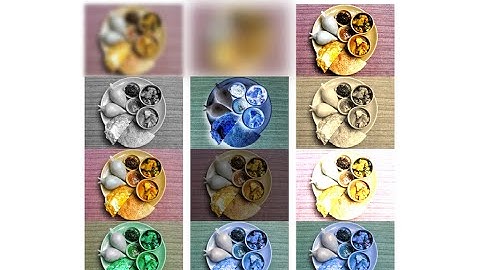 Tailwind CSS Filters(part 1)