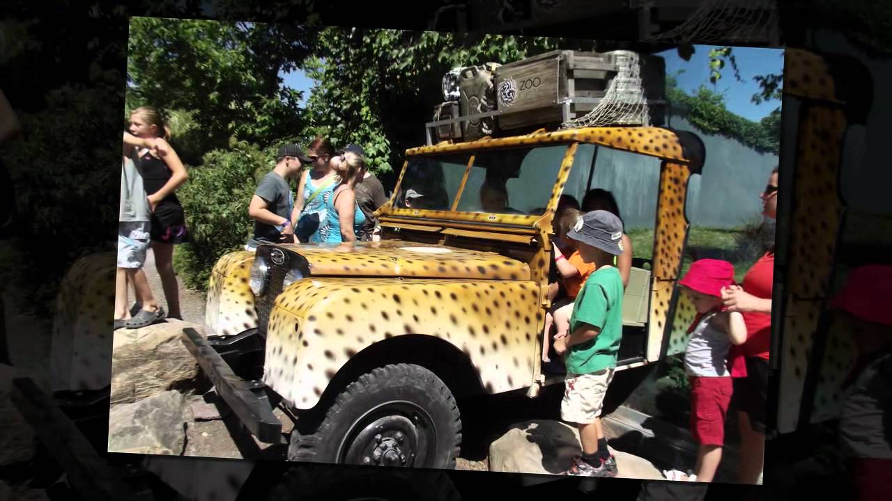 Zoo de Granby - �t� 2012