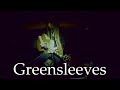 Greensleeves (Instrumental Interpretation) | James Dean Acoustic | Live Looping