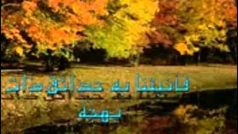الرقيه الشرعيه شهاب ثاقب على الجان الطيار ( الجزء الرابع ) (Rd1) reedo Mohameed -