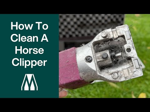 How To Clean A Horse Clipper - (The Easy Way!) Masterclip Clippers