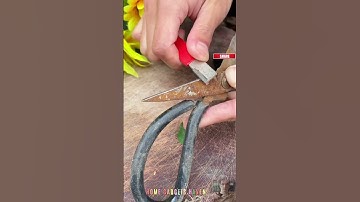 HOME GADGETS HAVEN😊Tungsten Steel Pocket Speedy Sharp Knife Shear Sharpener #aliexpress