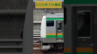 JR東日本 湘南新宿ライン E233系3000番台 E16編成 (海側・鉄道サイドビュー) 【JR EAST 2023.8 / TRAIN SCAN】