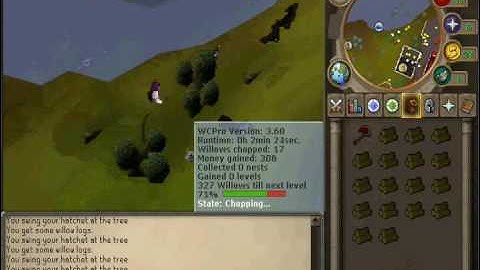 Woodcutting Bot - Willows