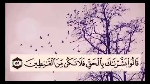 قال أبشرتموني ♥آيات قرآنيه قصيره♥مقطع قرآن♥تلاوه خاشعه♥ارح سمعك وقلبك