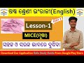 Mice class 6 English ।। Odia medium English Class 6 ।। Part 2 Lesson 1 Mice।। My English Book
