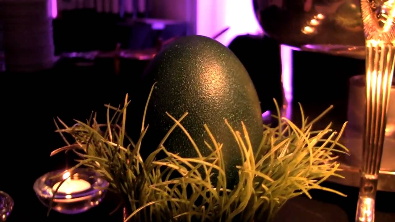 NJ Food & Wine Festival at Crystal Springs Resort YouTube