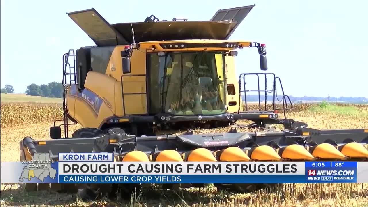 Ongoing drought causing harvest struggles for farms - YouTube