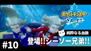 初めてのポケモン剣盾　Part.10