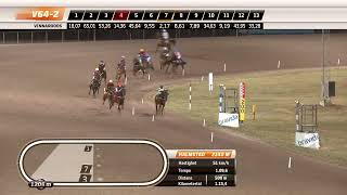 Vidéo de la course PMU EQUUMS MONTESERIE - OMGANG 1