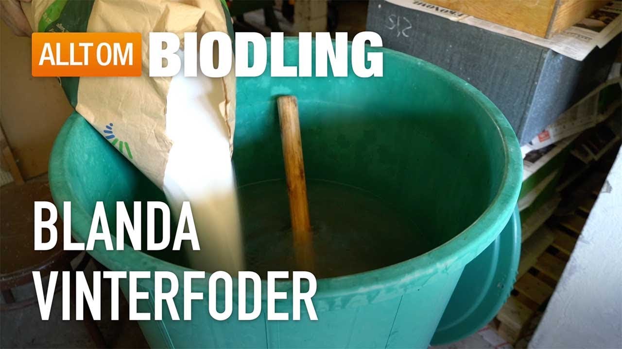 Blanda vinterfoder - Invintring - Biodling
