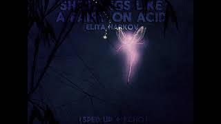 Elita - She Bangs Like A Fairy On Acid (Sped Up + Echo)