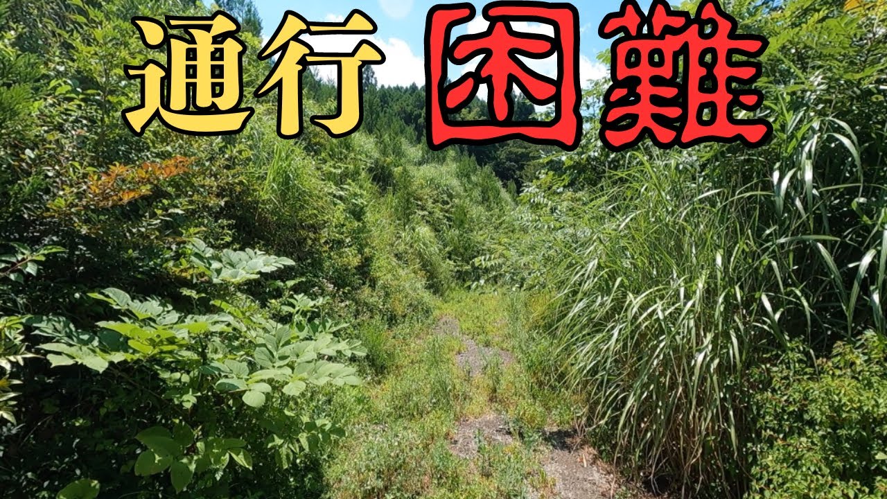 【前編】困難というより無理じゃない…？？[大分・熊本県道9号 日田鹿本線】